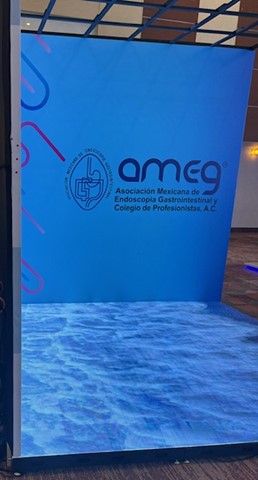 ASGE AMEG Conference