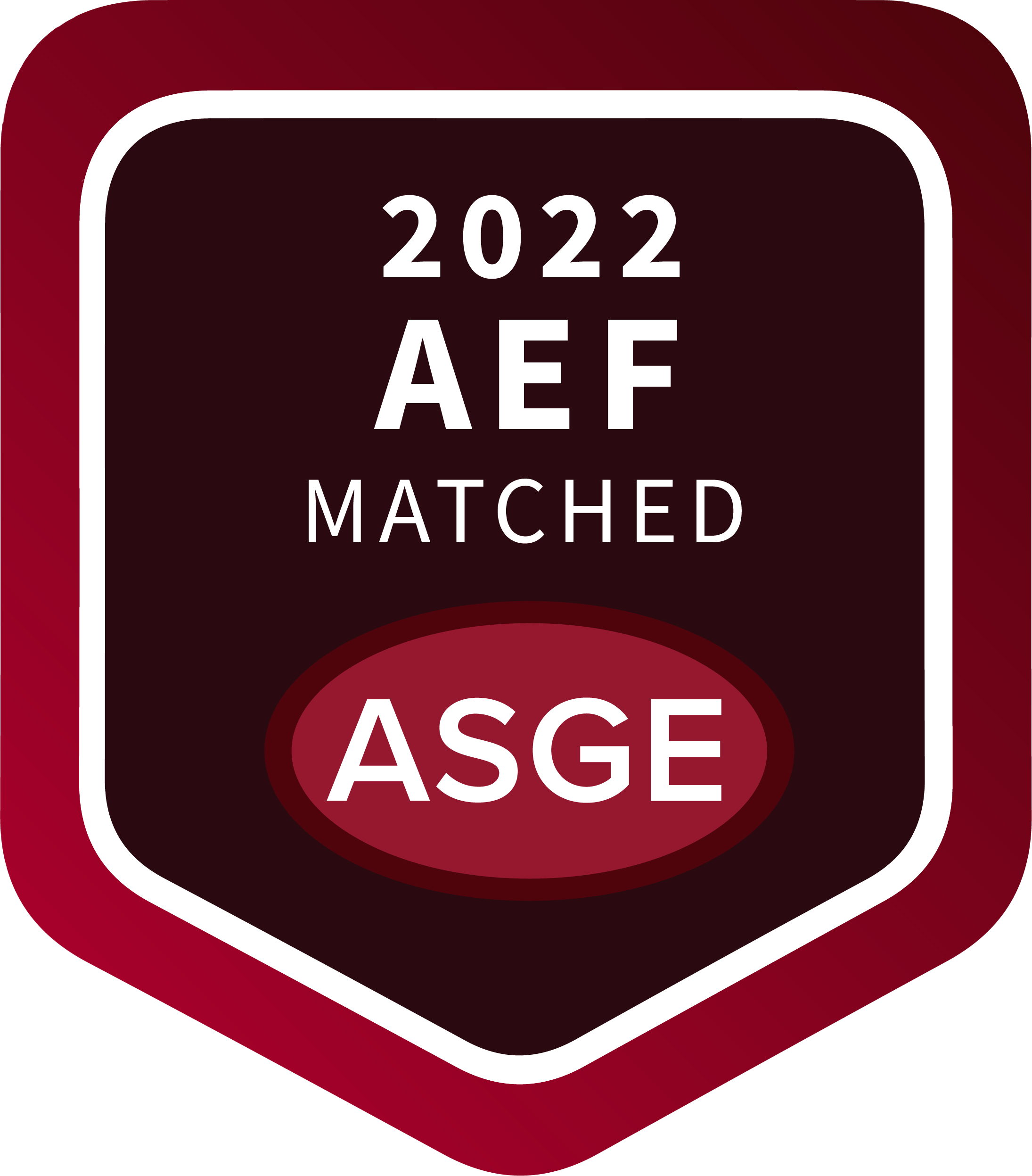 ASGE Advanced Endoscopy Fellows Match Recipients